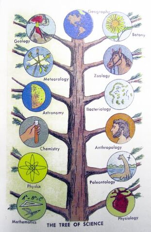 File:Tree-of-science.jpg