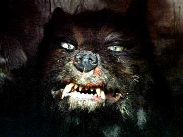 File:G'mork.jpg