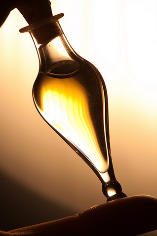 File:Felix Felicis.png