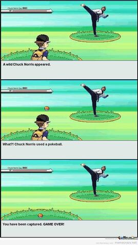 File:Paradox pokemon.jpg