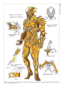 Neoragorn