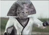 Devil sphinx