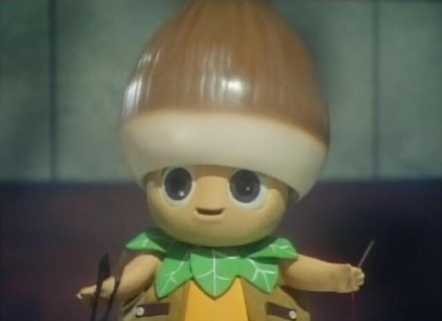 File:Fairy Bokku.jpg