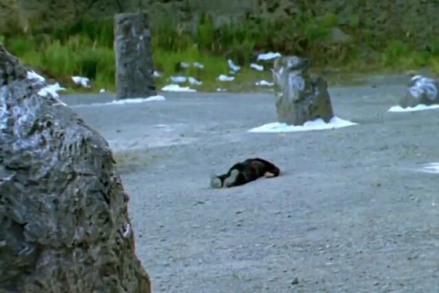 File:Mack lying dead.jpg
