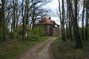Kobylepole