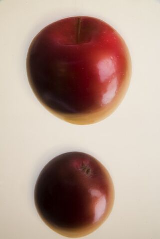 File:Antigrav.jpg