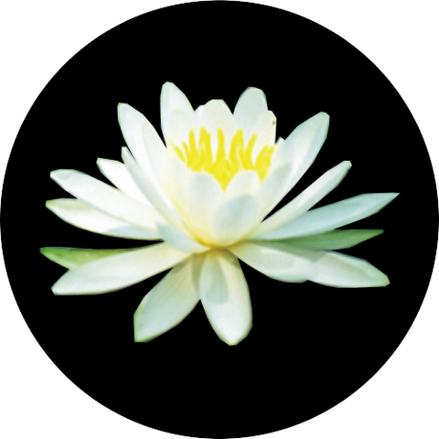 File:Floaters patch.png
