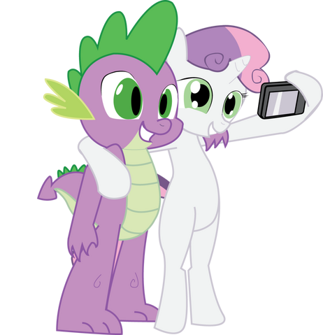 Soubor:Mlp fim photo of friendship by hoodie stalker-d5e1fzh.png