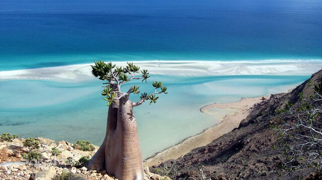 File:Socotra1.jpg
