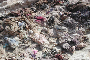 Tuareg genocide