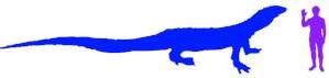 Megalania wiki pic