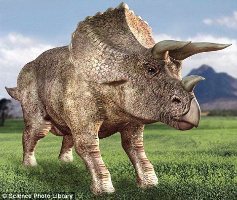 File:Triceratops.jpg