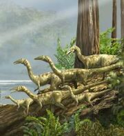 Coelophysis