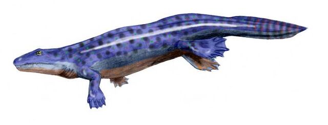 File:Ichthyostega.jpg