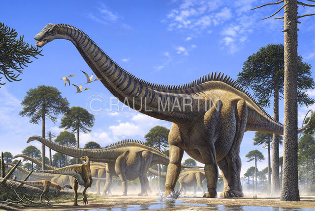 File:Supersaurus-1-.jpg