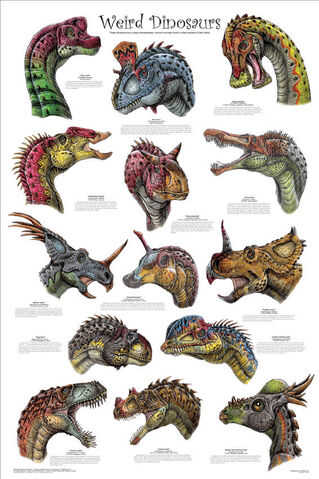 File:Weird dinosaurs poster-1-.jpg