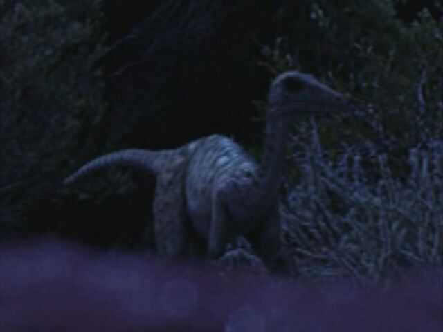 File:1x6 Troodon.jpg