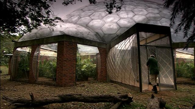 File:Bug house.jpg
