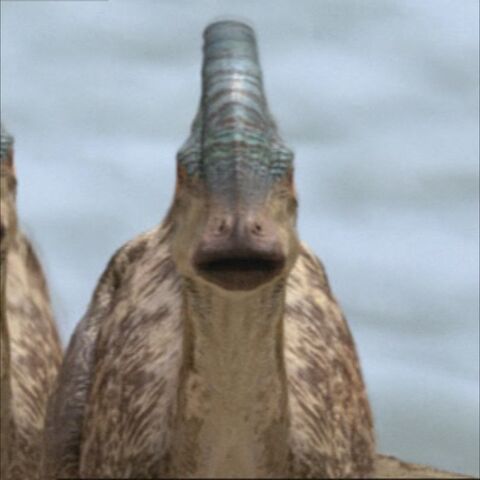 File:ParasaurolophusPortrait.jpg