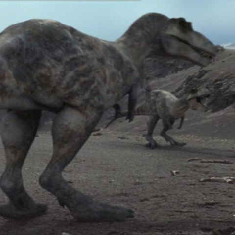 File:TyrannosaurusPortrait.jpg