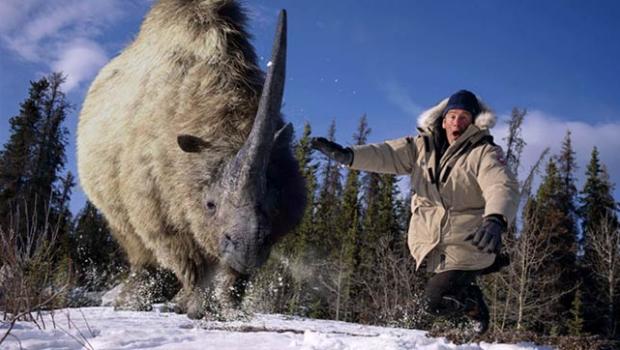File:Rhino....jpg