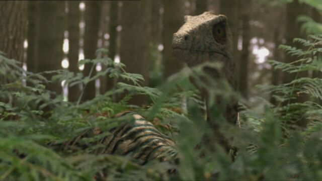 File:1x6 TroodonInBush.jpg