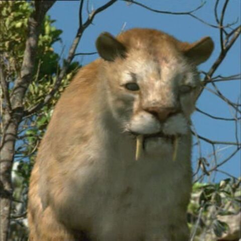 File:SmilodonPortrait.jpg
