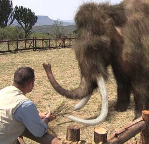File:Mammoth 2.jpg