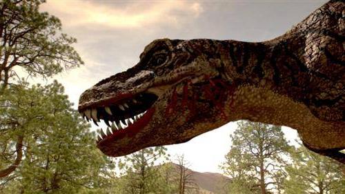 File:Tyrannosaurus rex.jpg