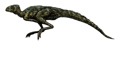 Pisanosaurus