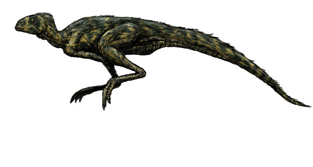 File:Pisanosaurus.jpg