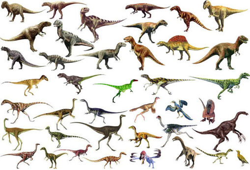 Theropoda.jpg