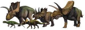 Ceratopsia.jpg