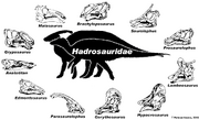 Hadrosauridae4.png