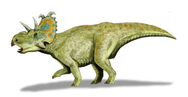 Albertaceratops.jpg