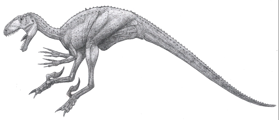 Resultado de imagen de noasaurus