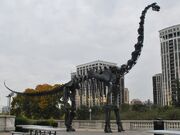 Brachiosaurus-field-museum-990x741.jpg