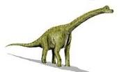 Brachiosaurus2.png