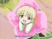 ShinFlower