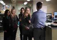 Pll-502-19