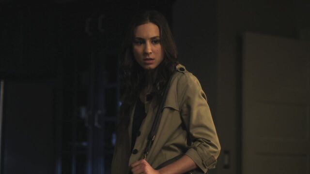 File:PLL205-0955.jpg
