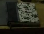 PLL Ali Diary Cover.png
