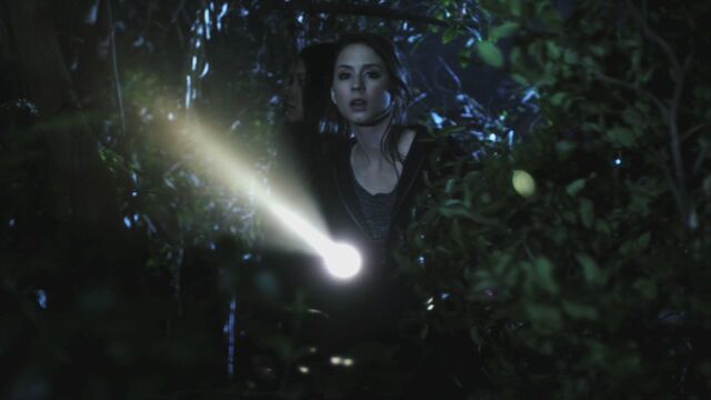 File:PLL110-01086.jpg