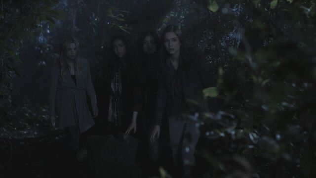File:PLL204-1144.jpg
