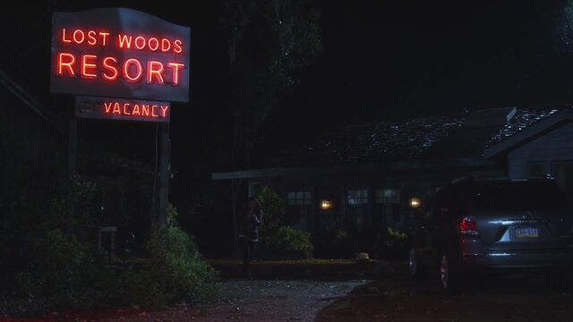 File:LostWoodsResort.jpg