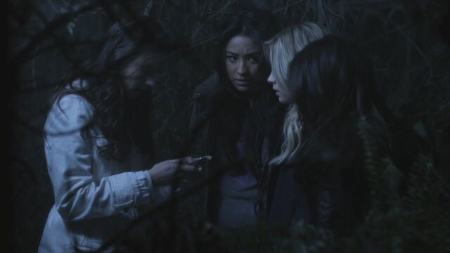 File:PLL201-1186.jpg