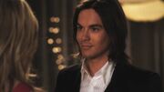 PLL206-1001