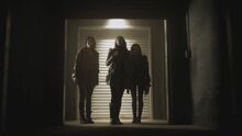 PLL121-1210.jpg