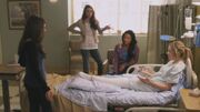 PLL111-0337