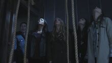 PLL122-1193.jpg